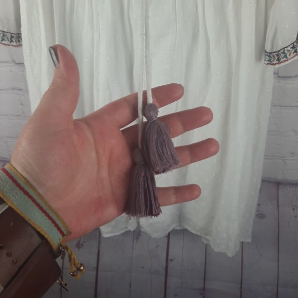 ZARA PLUMETIS EMBROIDERED DRESS - Picture 8 of 15